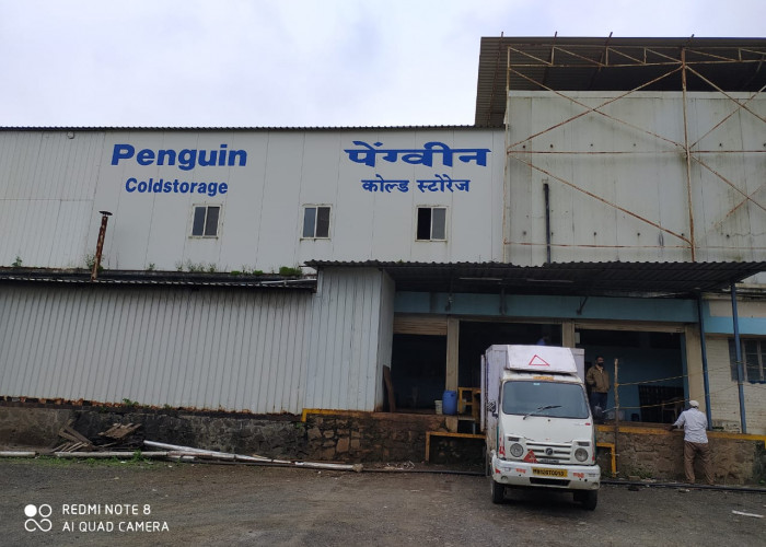 PENGUIN COLDSTORAGES PVT LTD